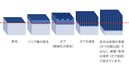 陽極反応と陰極反応のイメージ画像です